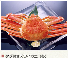 タグ付きズワイガニ（冬）