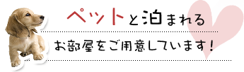 ペットと泊まれるお部屋をご用意しています！