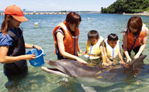 のとじま水族館